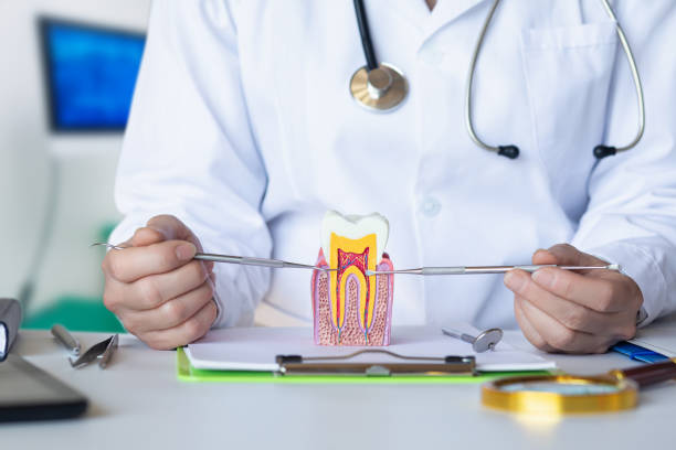 Best Emergency Root Canal Treatment in Salisbury, NY